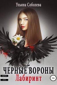 Черные Вороны 2. Лабиринт