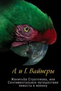 Женитьба Стратонова, или Сентиментальное путешествие невесты к жениху