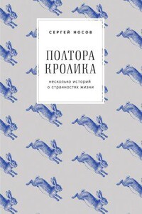 Полтора кролика. Несколько историй о странностях жизни