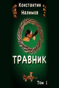 Фэнтези слушать назимов. Назимов Константин травник студент и бизнесмен.