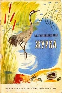 Журка