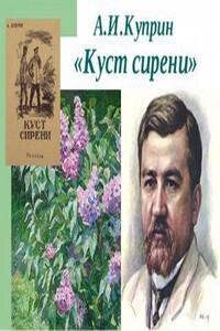 Куст сирени