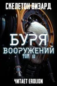 Буря Вооружений. Том 13