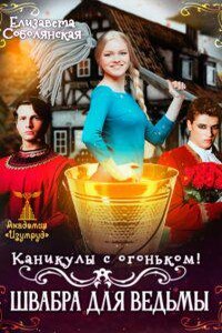Академия «Изумруд» 4. Каникулы с огоньком. Швабра для ведьмы