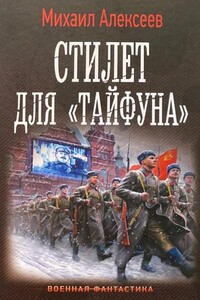 Стилет для «Тайфуна»