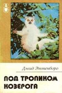 Под тропиком Козерога