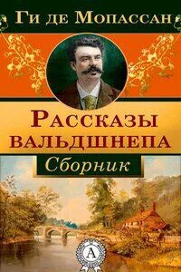 Рассказы вальдшнепа. Сборник новелл