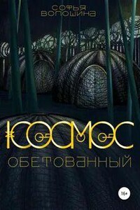 Космос обетованный