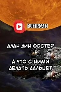 А что с ними делать дальше? - Алан