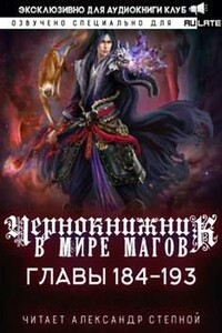 Чернокнижник в мире Магов