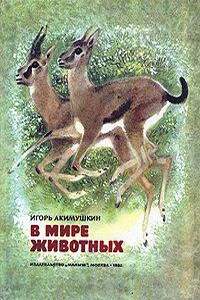 В мире животных