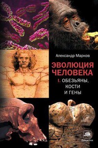 Эволюция человека 1. Обезьяны, кости и гены