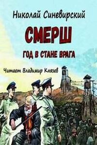 Смерш. Год в стане врага - Синевирский Николай