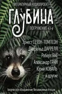 Глубина. Погружение 43