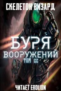 Буря Вооружений. Том 22