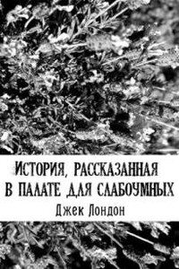 История, рассказанная в палате для слабоумных