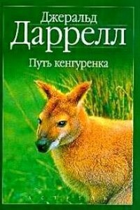 Путь кенгуренка