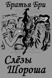 Слёзы Шороша. Книга 2