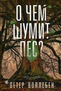 О чём шумит лес? - Петер Воллебен