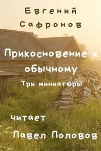 Прикосновение к обычному. Три миниатюры