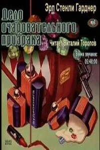 Дело очаровательного призрака