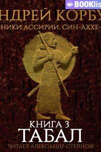 Хроники Ассирии. Син-аххе-риб 3. Табал. Книга 3