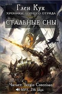 Книги юга 02. Стальные сны