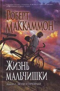 Жизнь мальчишки