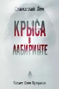 Крыса в лабиринте