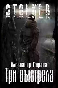 S.T.A.L.K.E.R. Три выстрела