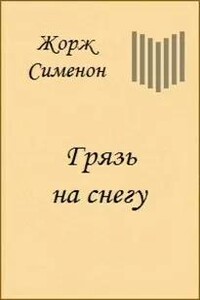 Грязь на снегу