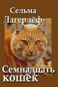 Семнадцать кошек