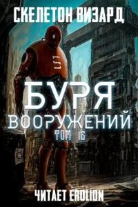 Буря Вооружений. Том 16