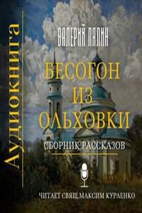 Бесогон из Ольховки. Сборник рассказов