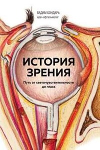 История зрения - путь от светочувствительности до глаза